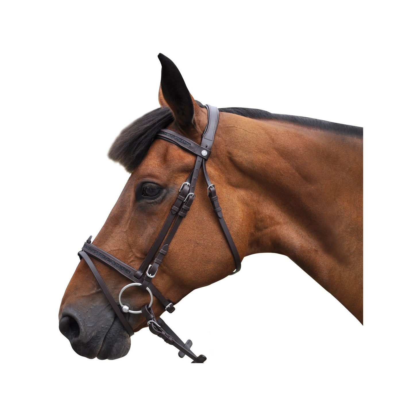 Canter - Bridon black strass cheval marron