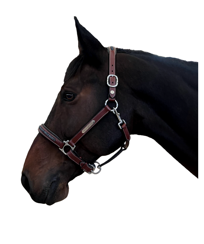 Flags&Cup - Licol Aachen marron full