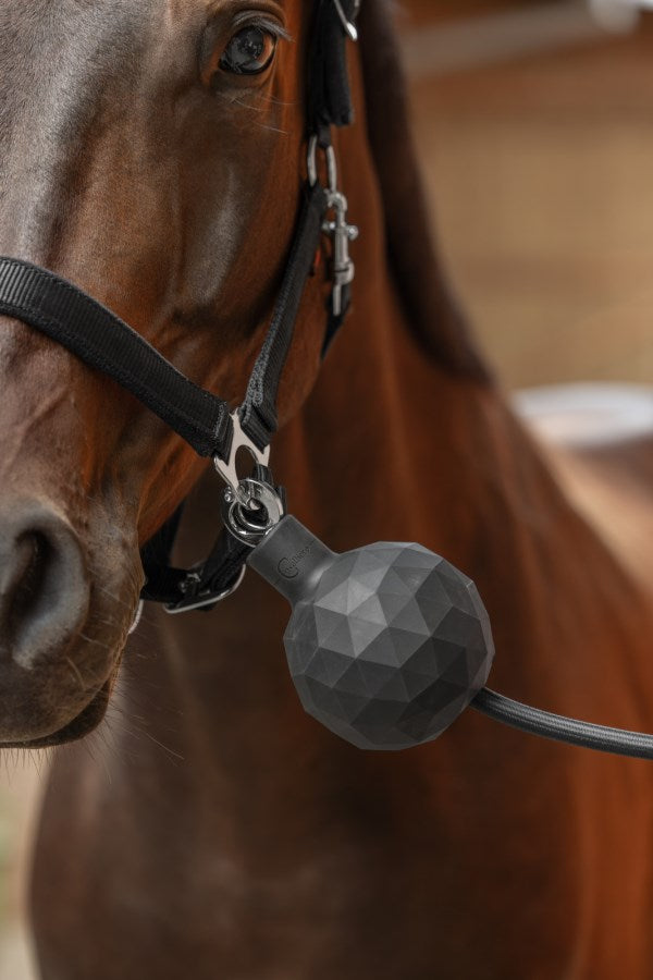 Balle de protection mousqueton