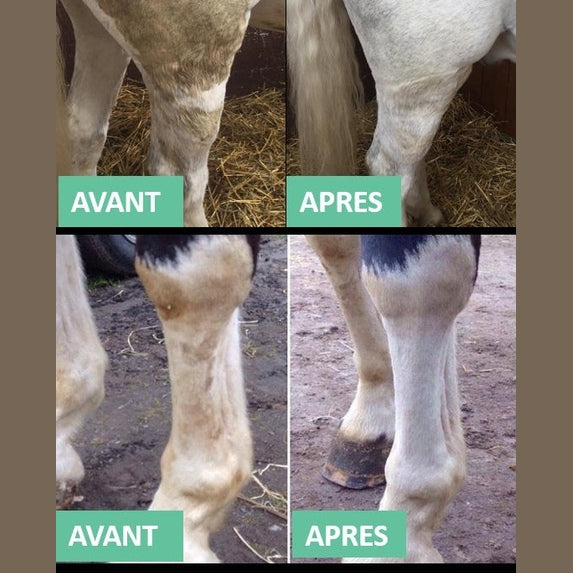EKIN - Détachant robe et crin – vue 3