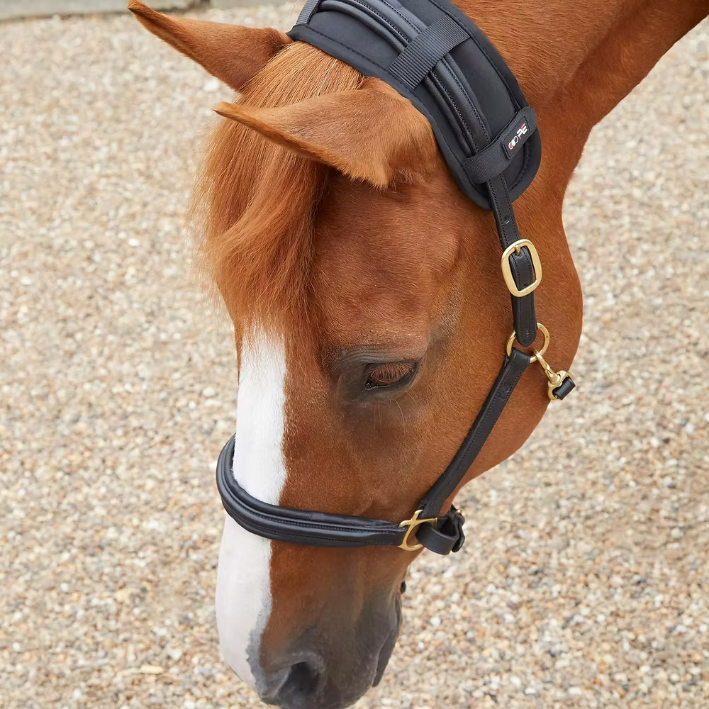 Premier Equine - Tétière magnétique