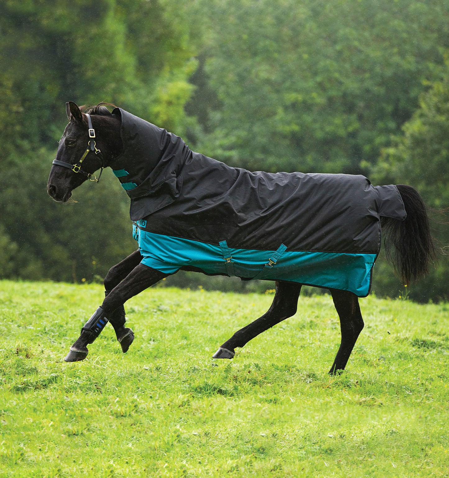 Couverture Extérieur Mio All-in-One 200g- Horseware