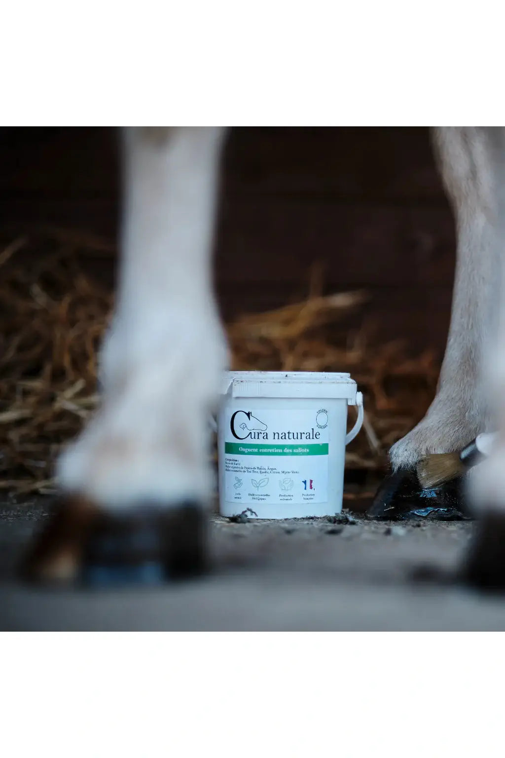 Cura Naturale - Onguent entretien des sabots incolore 500g