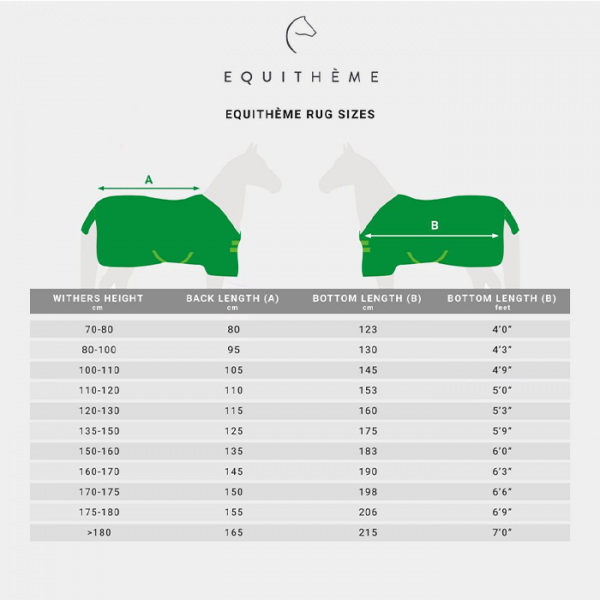 Equithème - Chemise écurie Chic noir/argent 5'9