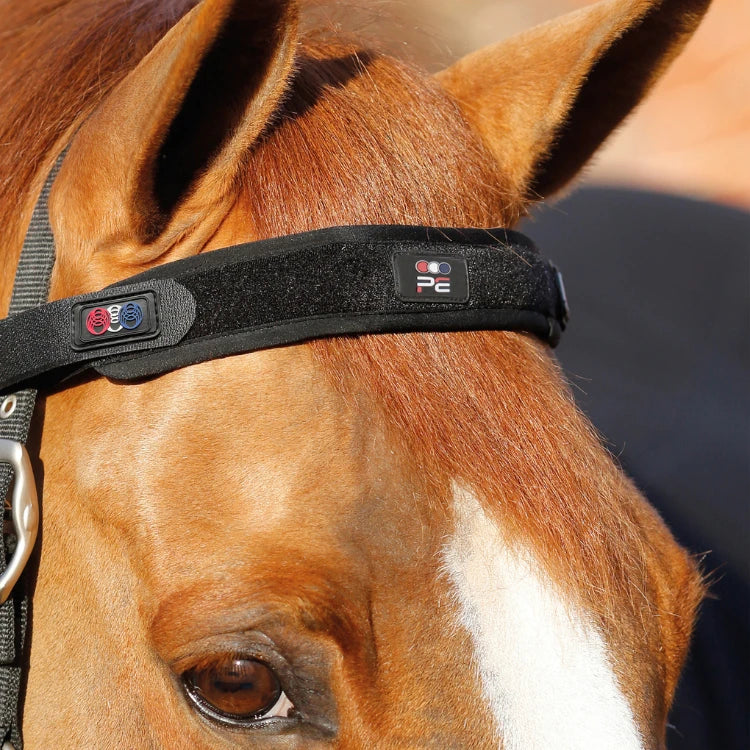 Premier Equine - Frontal magnétique
