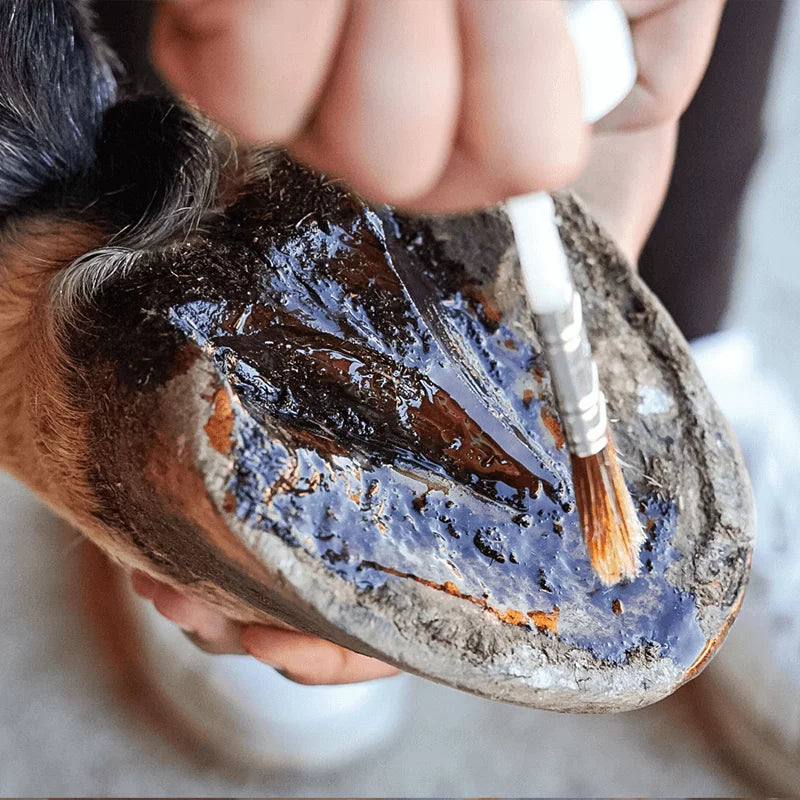Ravene - Pediflex 500mL