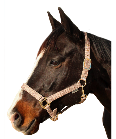 Canter - Licol Malibu