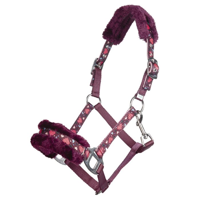 HKM - Licol coeur