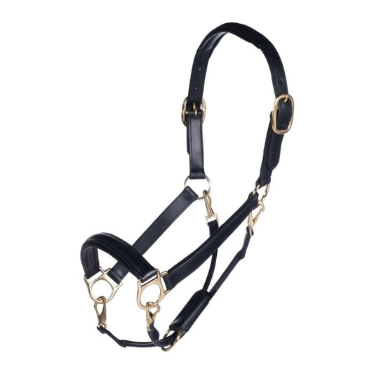 HKM - Licol cuir noir gold cheval