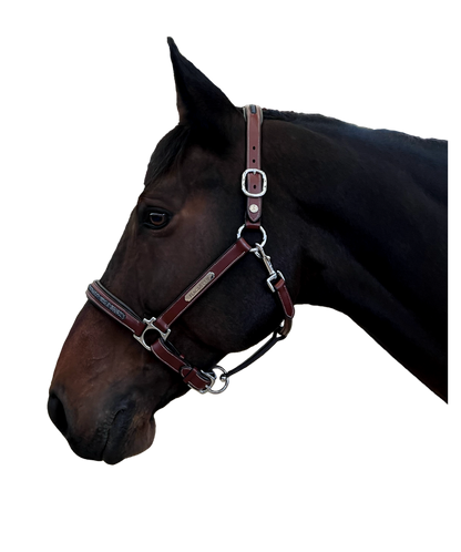 Flags&Cup - Licol Aachen marron full