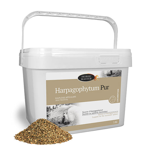 Horse Master - Harpagophytum pur 1kg
