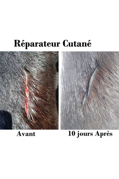 EKIN - Baume réparateur cutané