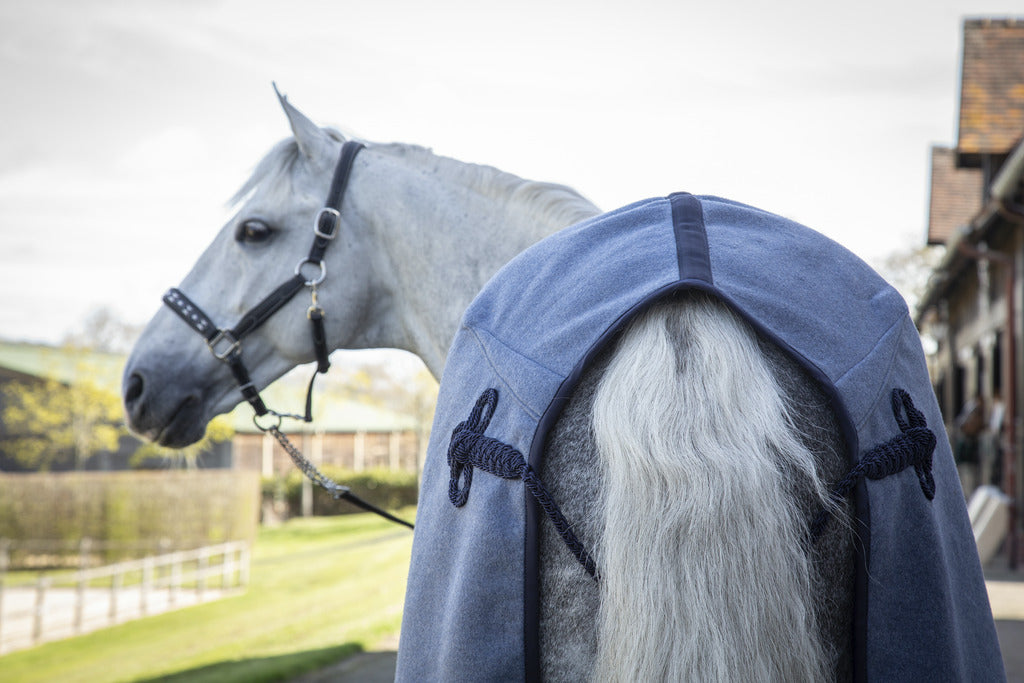 Paddock Sport - Chemise WoolTouch