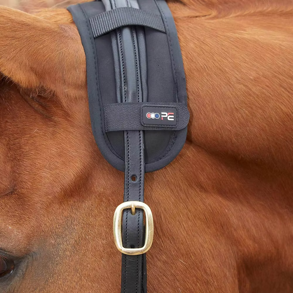 Premier Equine - Tétière magnétique
