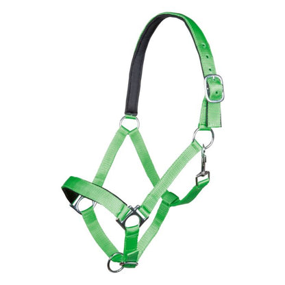 HKM - Licol Stars
