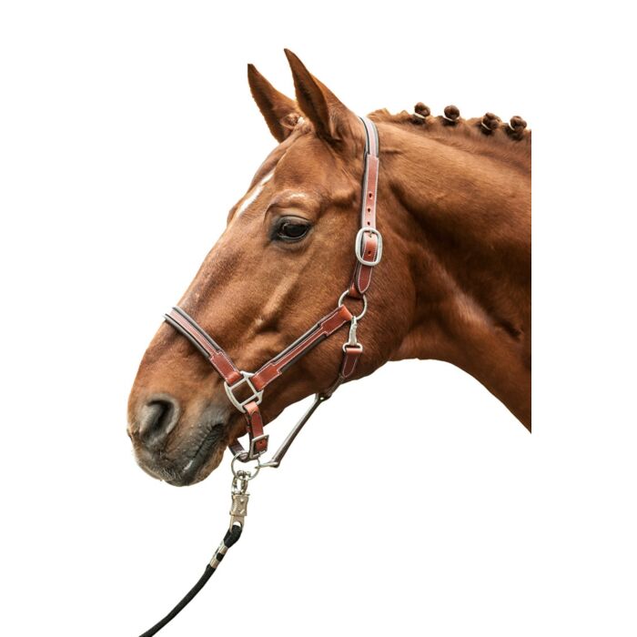 HKM - Licol cuir