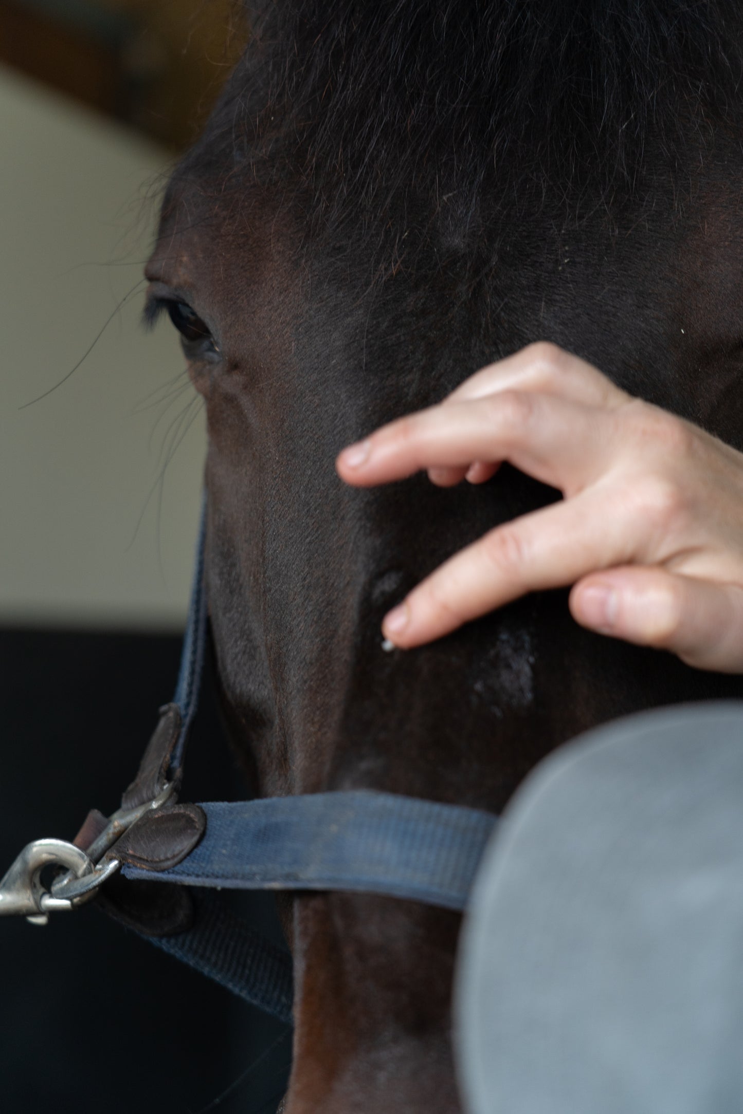 Alodis Care - Cica Soin 200g