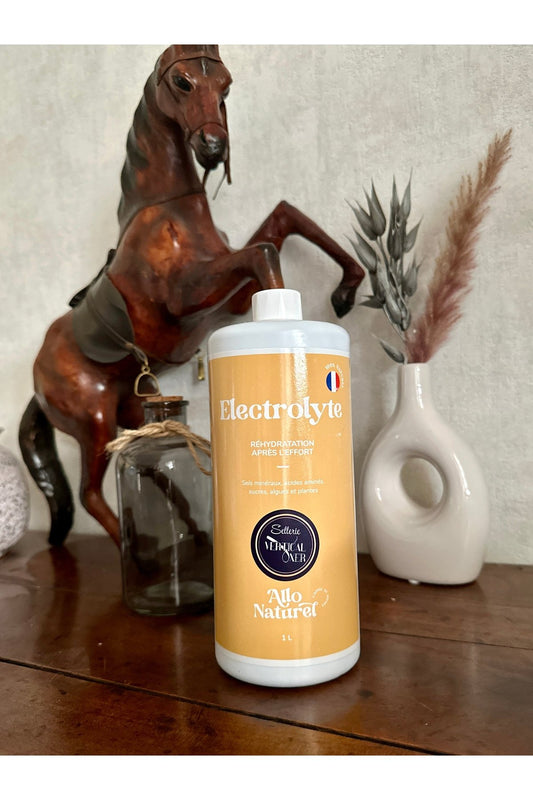 Allo Naturel - Electrolyte 1L