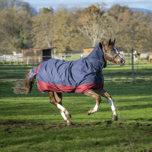 Equithème - Couverture Tyrex 1200D Combo 350g