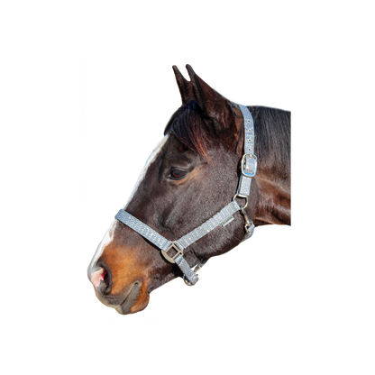 Canter - Licol Malibu