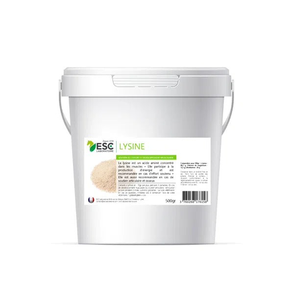 ESC - LYSINE + – Soutien de l’effort et développement musculaire cheval 500g