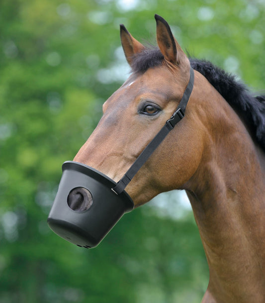 Panier anti colique cheval