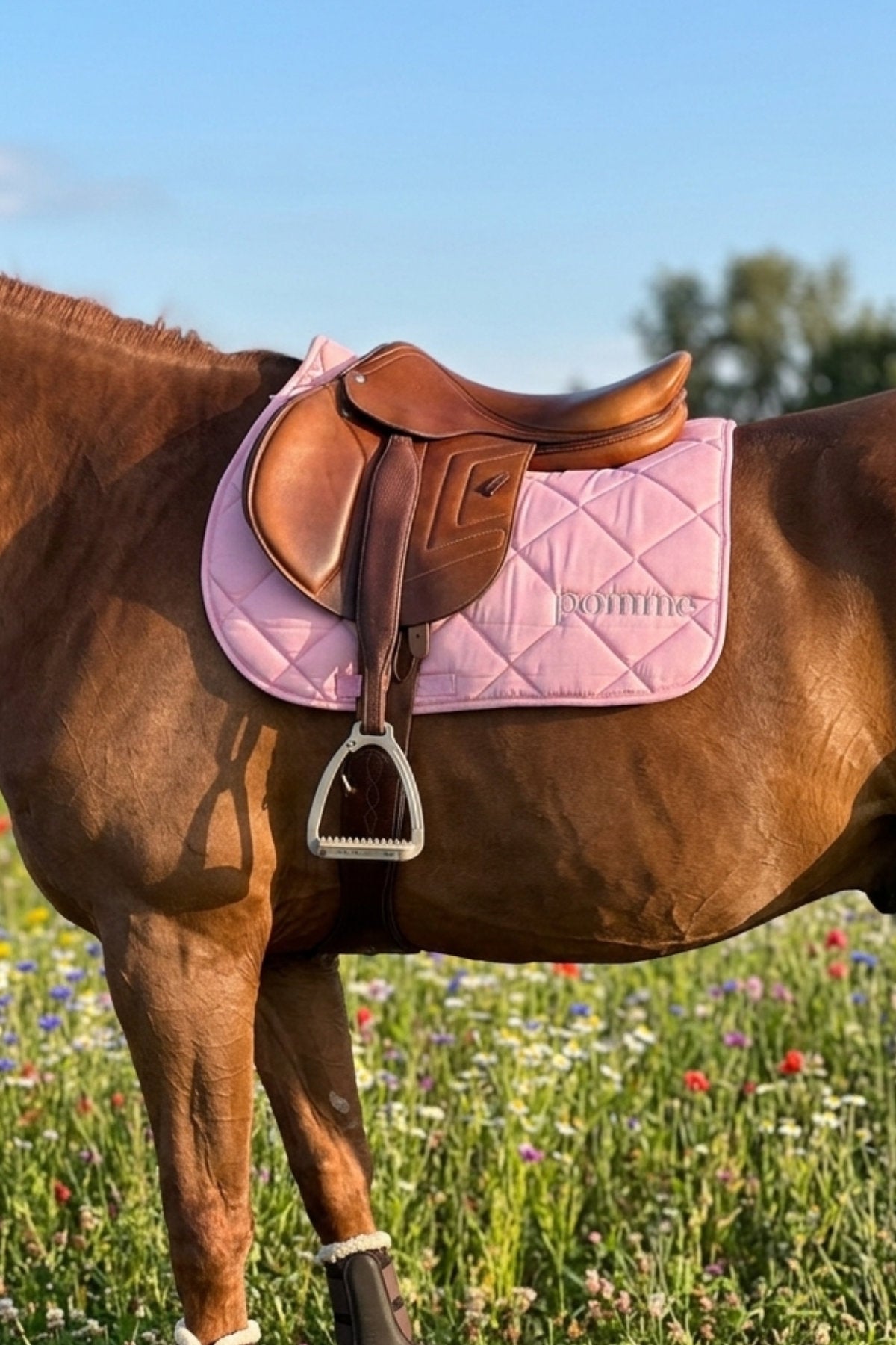 Pomme - Tapis de selle rose