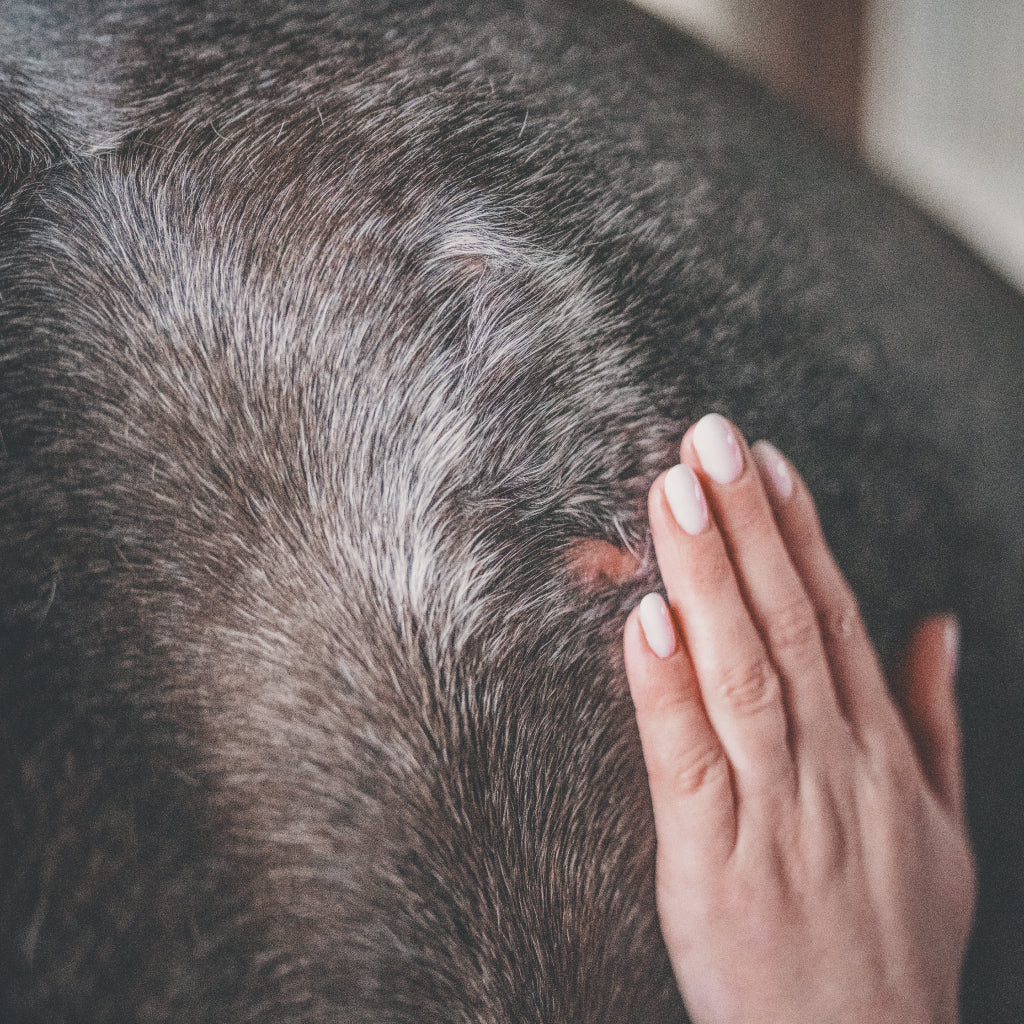 Cura Naturale - Gel repousse poil 125mL