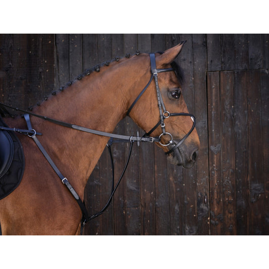 Riding World - Martingale à anneaux