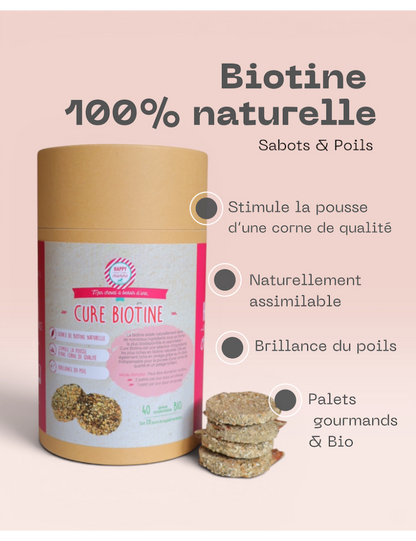 Happy Crackers - Cure Biotine