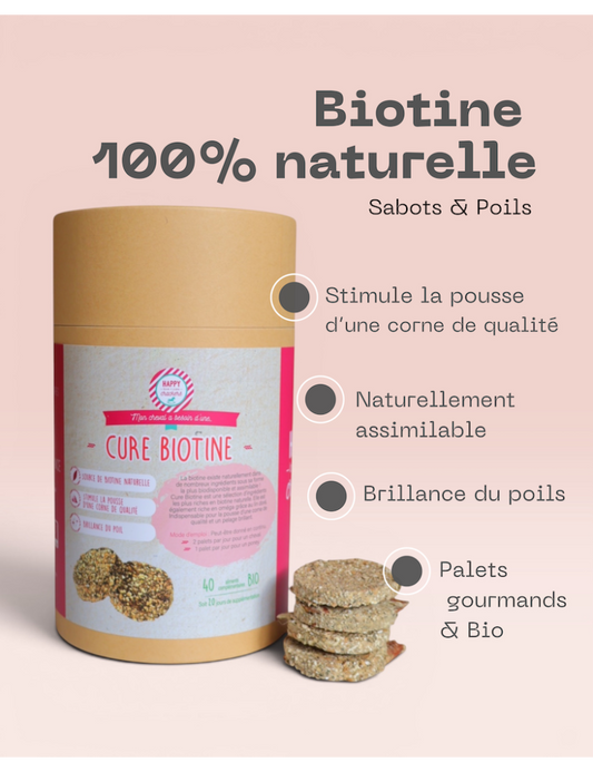 Happy Crackers - Cure Biotine