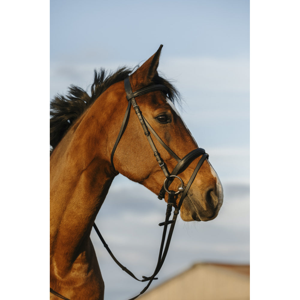 Riding World - Bridon havane full