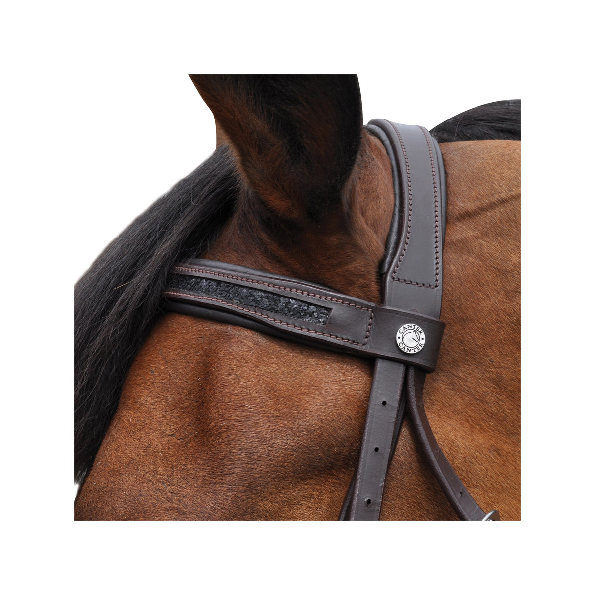 Canter - Bridon black strass cheval marron