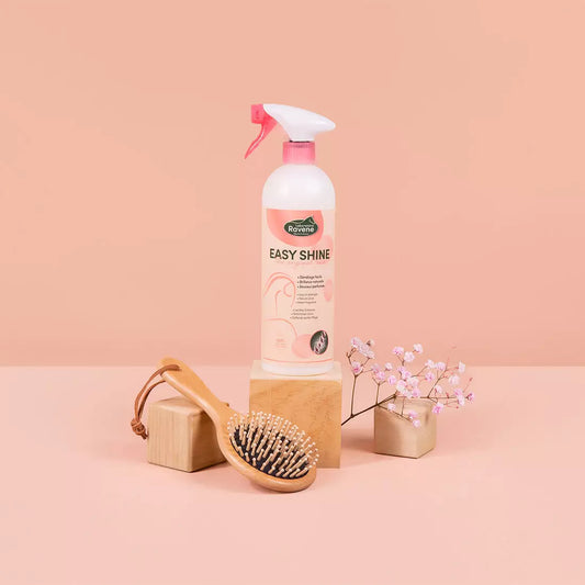 Ravene - Easy Shine 750mL