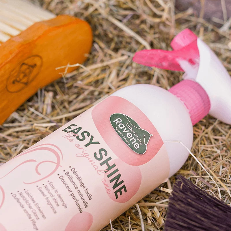Ravene - Easy Shine 750mL