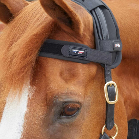 Premier Equine - Frontal magnétique