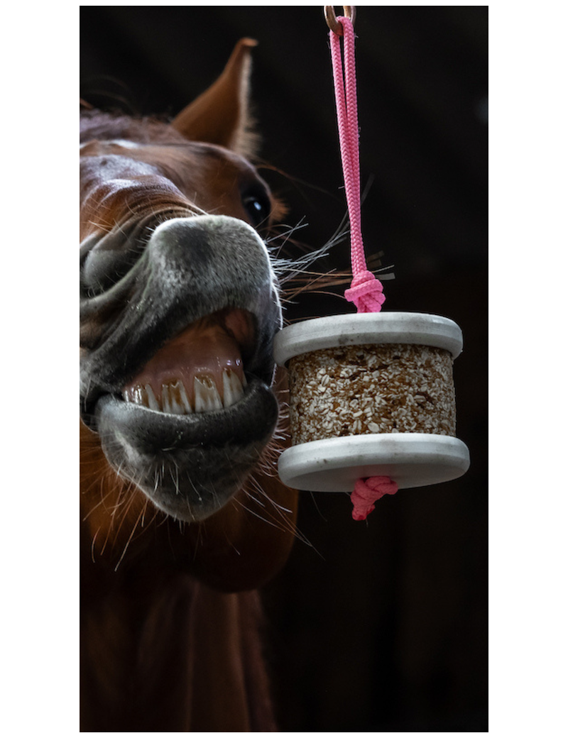 Happy Crackers - Happy wild détox Carotte Pissenlit