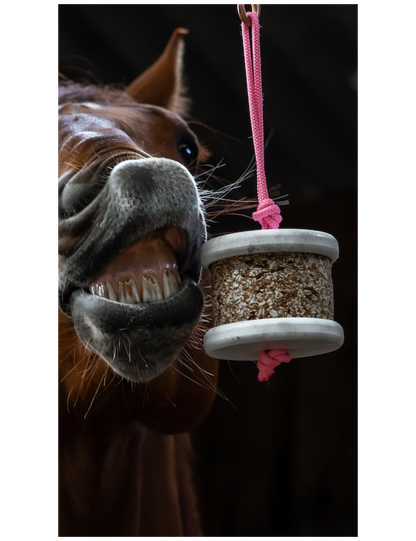 Happy Crackers - Happy wild détox Carotte Pissenlit