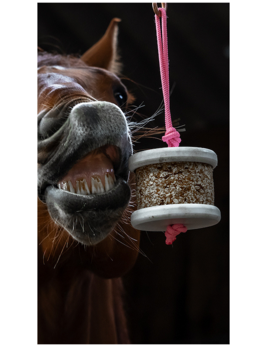 Happy Crackers - Happy wild détox Carotte Pissenlit