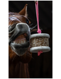 Happy Crackers - Happy wild détox Carotte Pissenlit