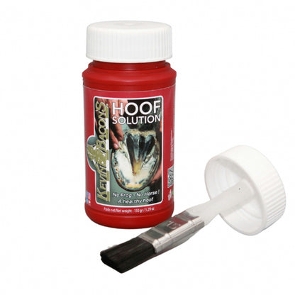 Kevin Bacon - Soin fourchette 150g