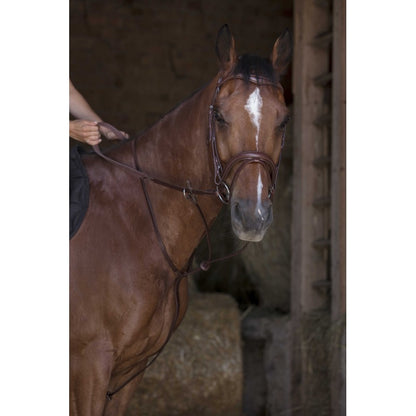 Norton - Martingale anneaux cheval havane