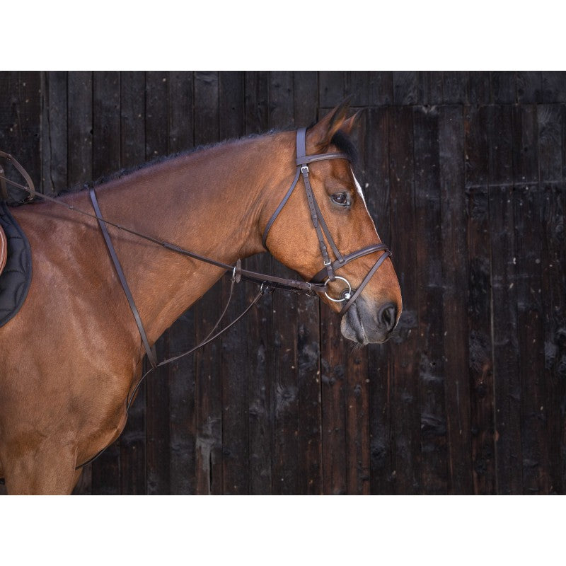 Riding World - Martingale à anneaux cheval havane