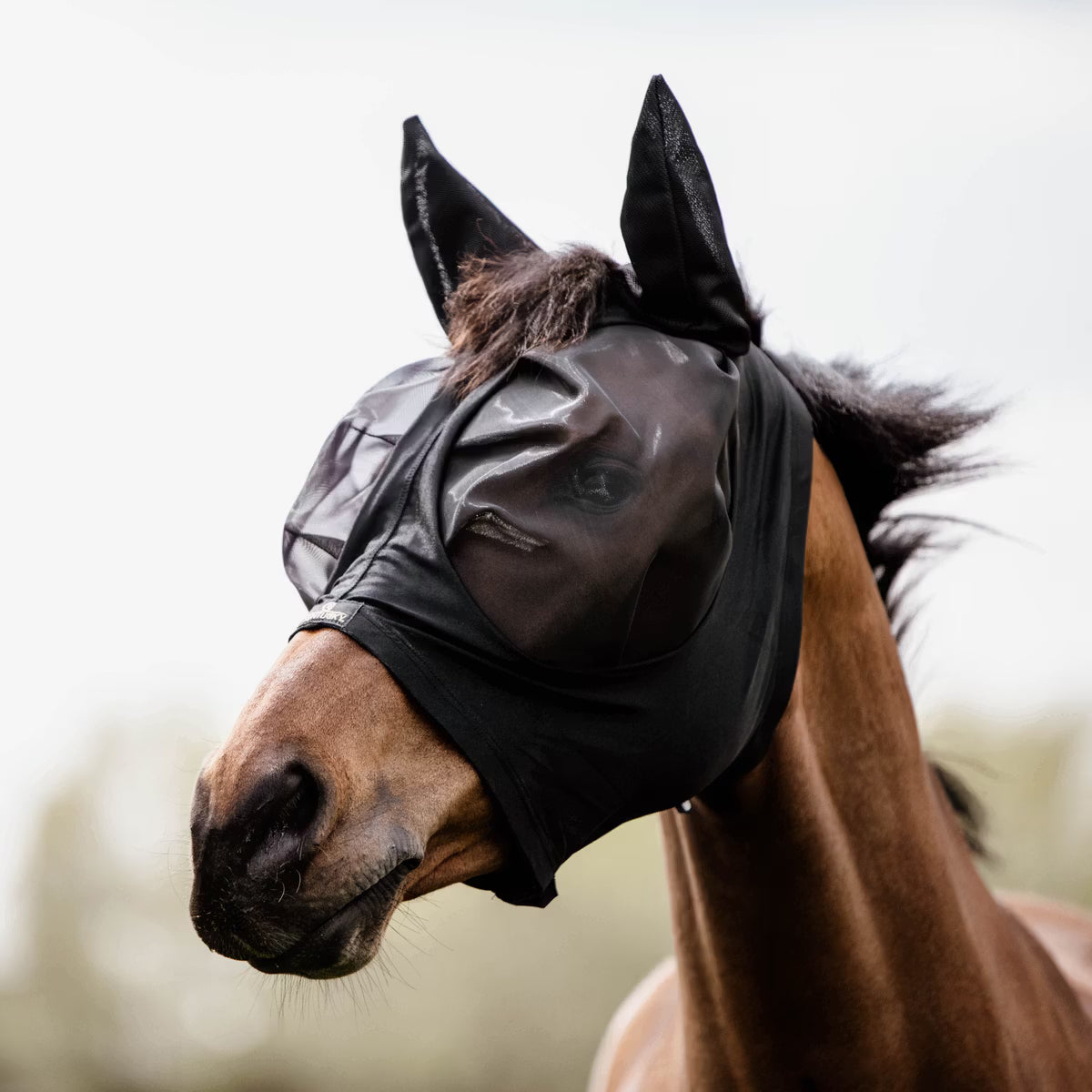 Kentucky - Masque anti-mouche slim fit noir Cob