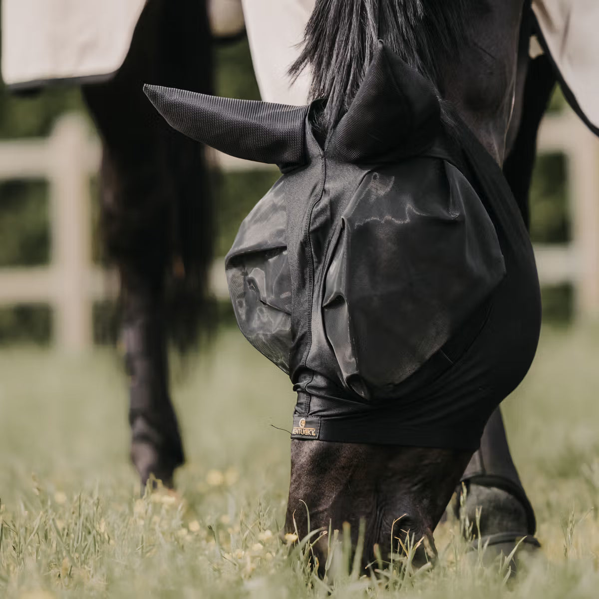 Kentucky - Masque anti-mouche slim fit noir Cob