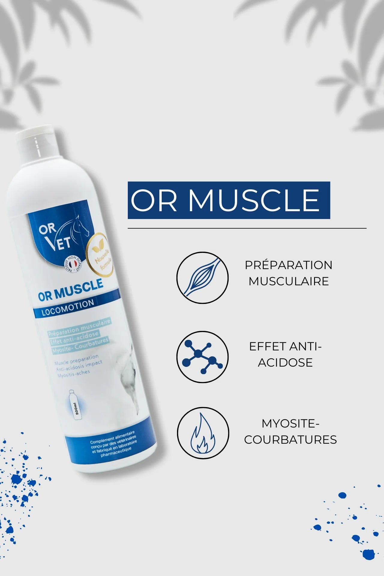 OR Vet - OR Muscle 500mL