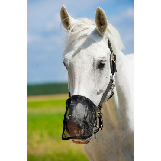 Protège naseaux mesh