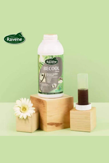 Ravene - Nutriflex 500mL