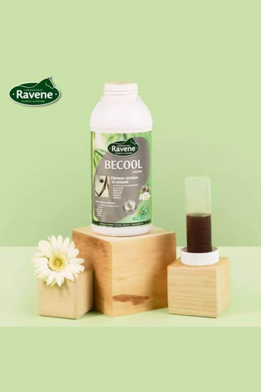 Ravene - Becool 500mL