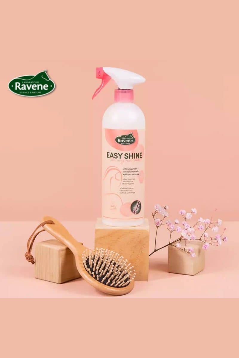 Ravene - Easy Shine 750mL